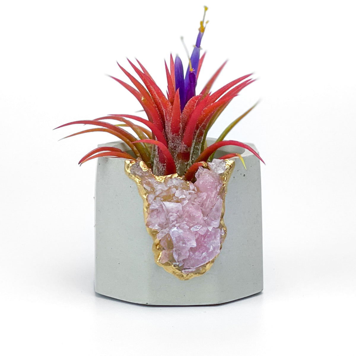 Raw ROSE QUARTZ GEODE PLANTER