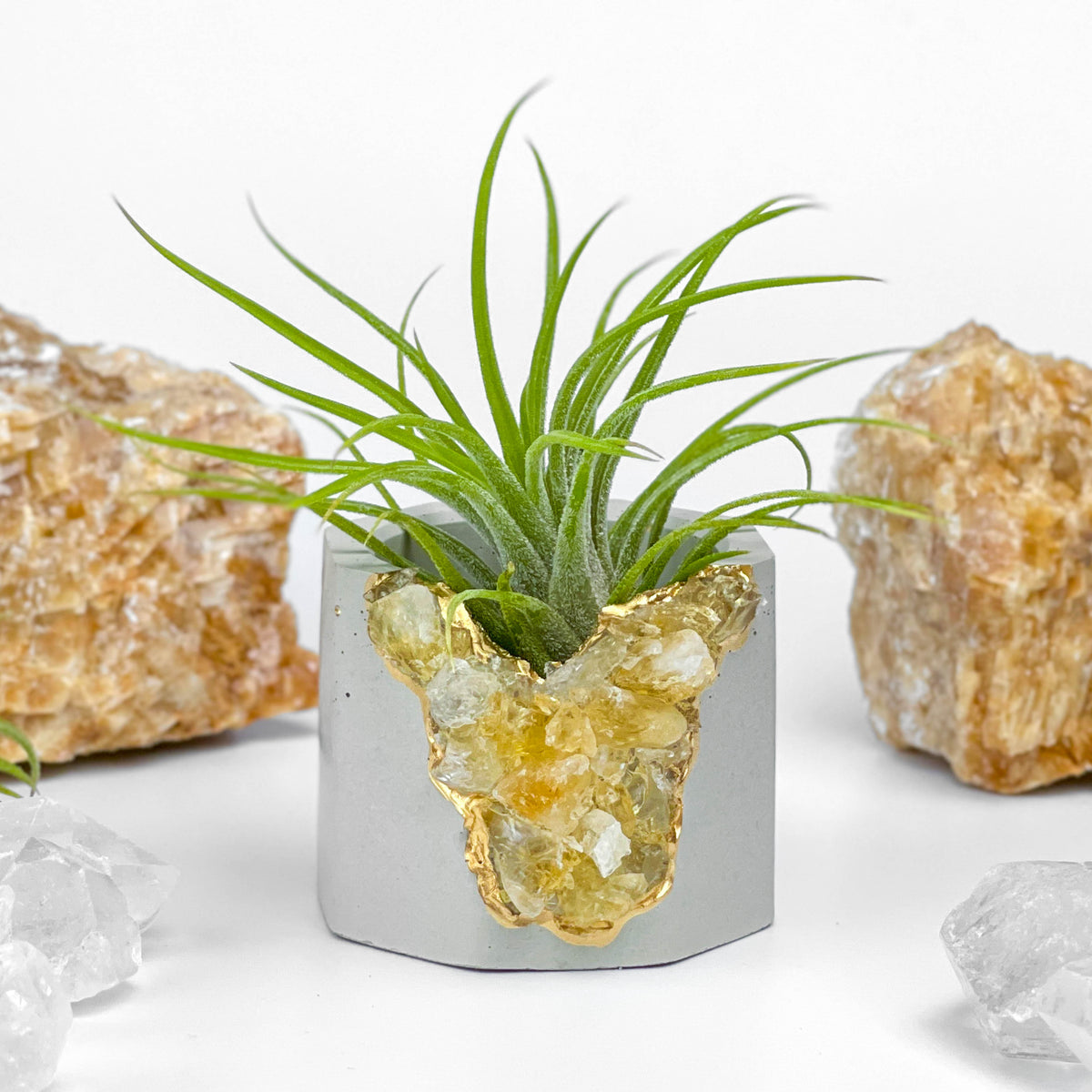 Raw CITRINE GEODE PLANTER
