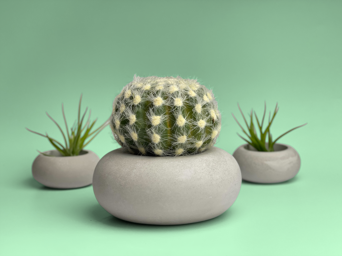 Perfect Succulent Planter