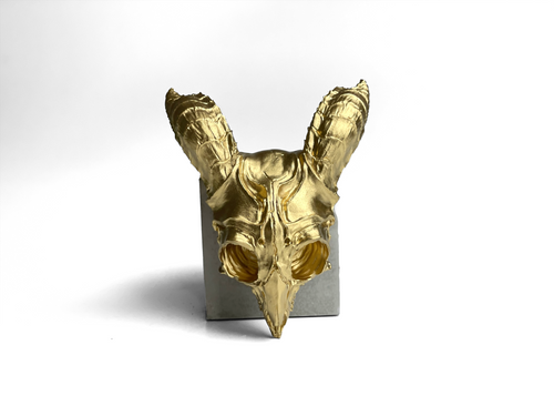 ANIMAL SKULL
